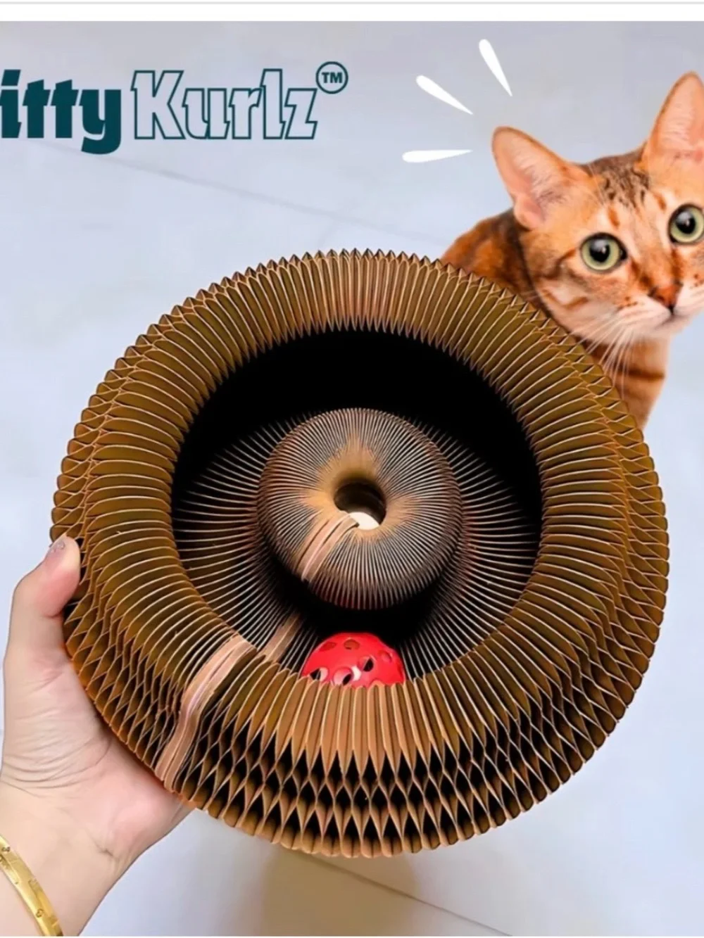 The ultimate cat toy